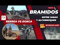 BRAMIDOS ENTRE JARAS Y ALCORNOQUES - BERREA VS RONCA