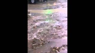 VID-20141011-WA0063.mp4