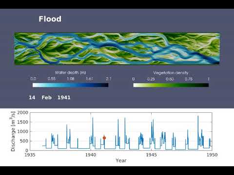 Numerical simulation of planform development and vegetation spread in the Waitaki River (NZ)