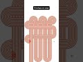 Free SVG editing software test #plotter #cnc #adobeillustrator #svg #3dprinting