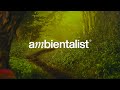 The ambientalist  mysteries unfold
