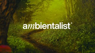 The Ambientalist - Mysteries Unfold Resimi