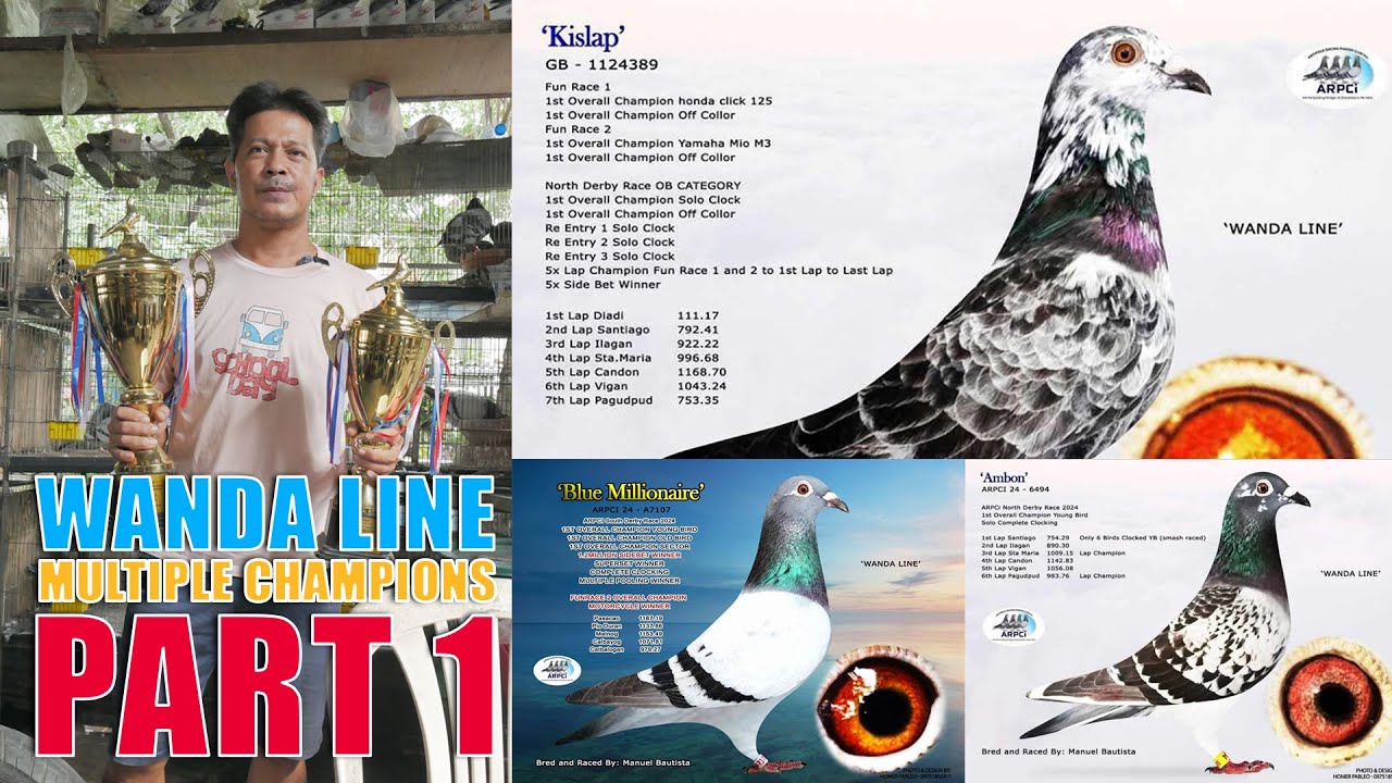 FAMOUS LINE WANDA by Manuel Bautista Part 1