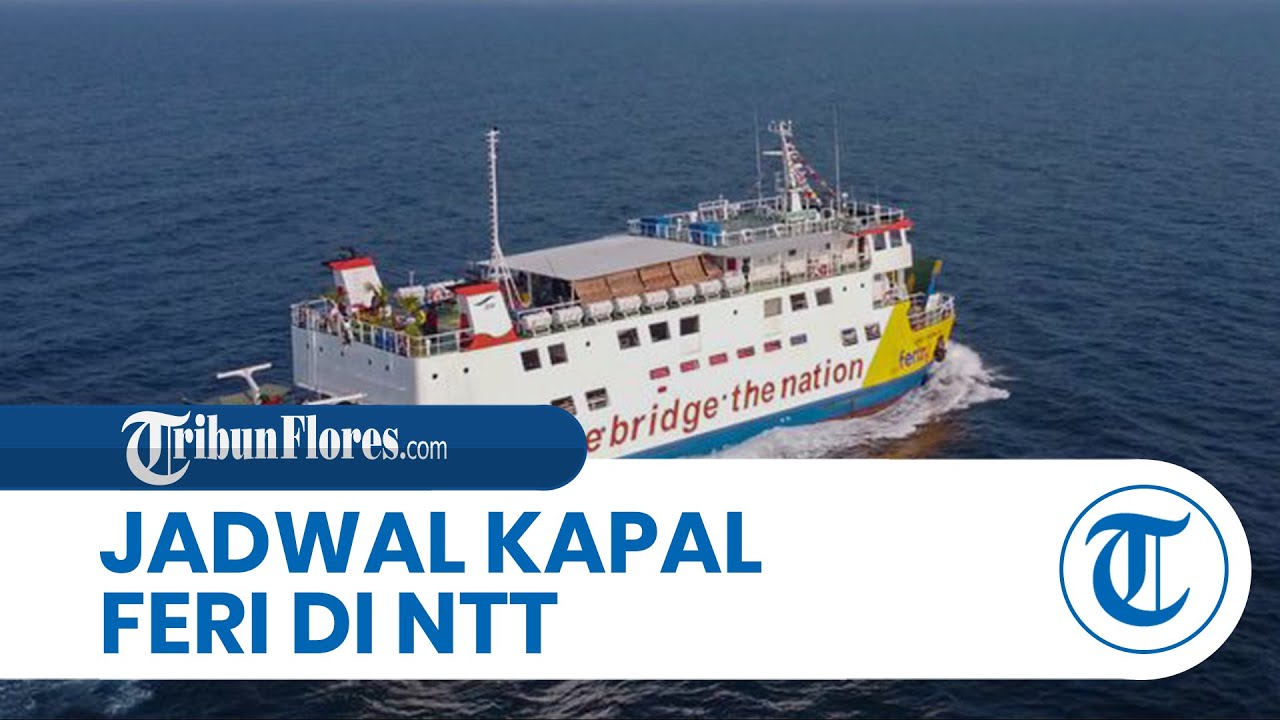 Jadwal Kapal Feri di NTT Senin 25 Maret 2024, Rute KMP Cakalang II Kupang-Aimere-Waingapu Jam 11