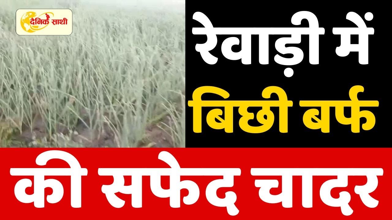 Dainik Sathi: रेवाड़ी में बिछी बर्फ की सफेद चादर | REWARI CITY |
