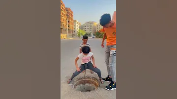 طبور الحمام 
