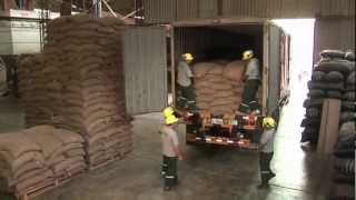 Cocla - Vídeo Insucional En Español