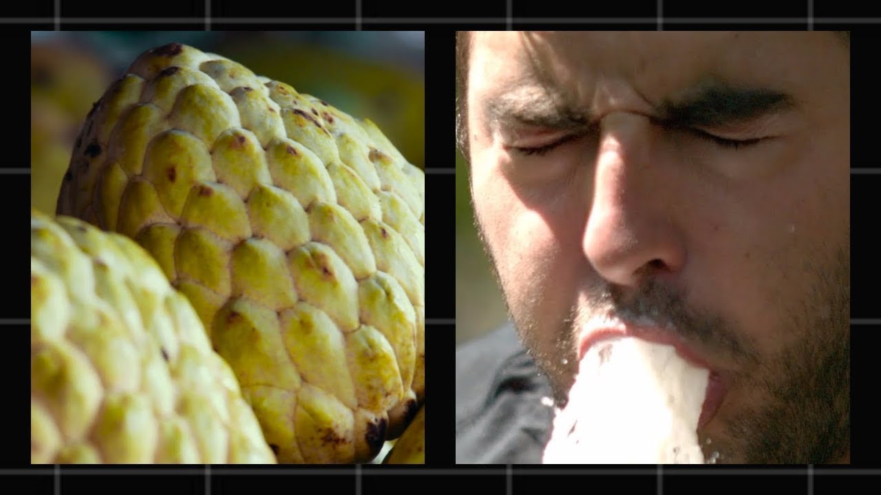 ЧТО БУДЕТ ЕСЛИ СЪЕСТЬ ФРУКТ НОНИ??? - YouTube