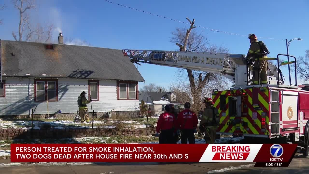 Omaha house fire kills 2 dogs, sends one person to the hospital - YouTube