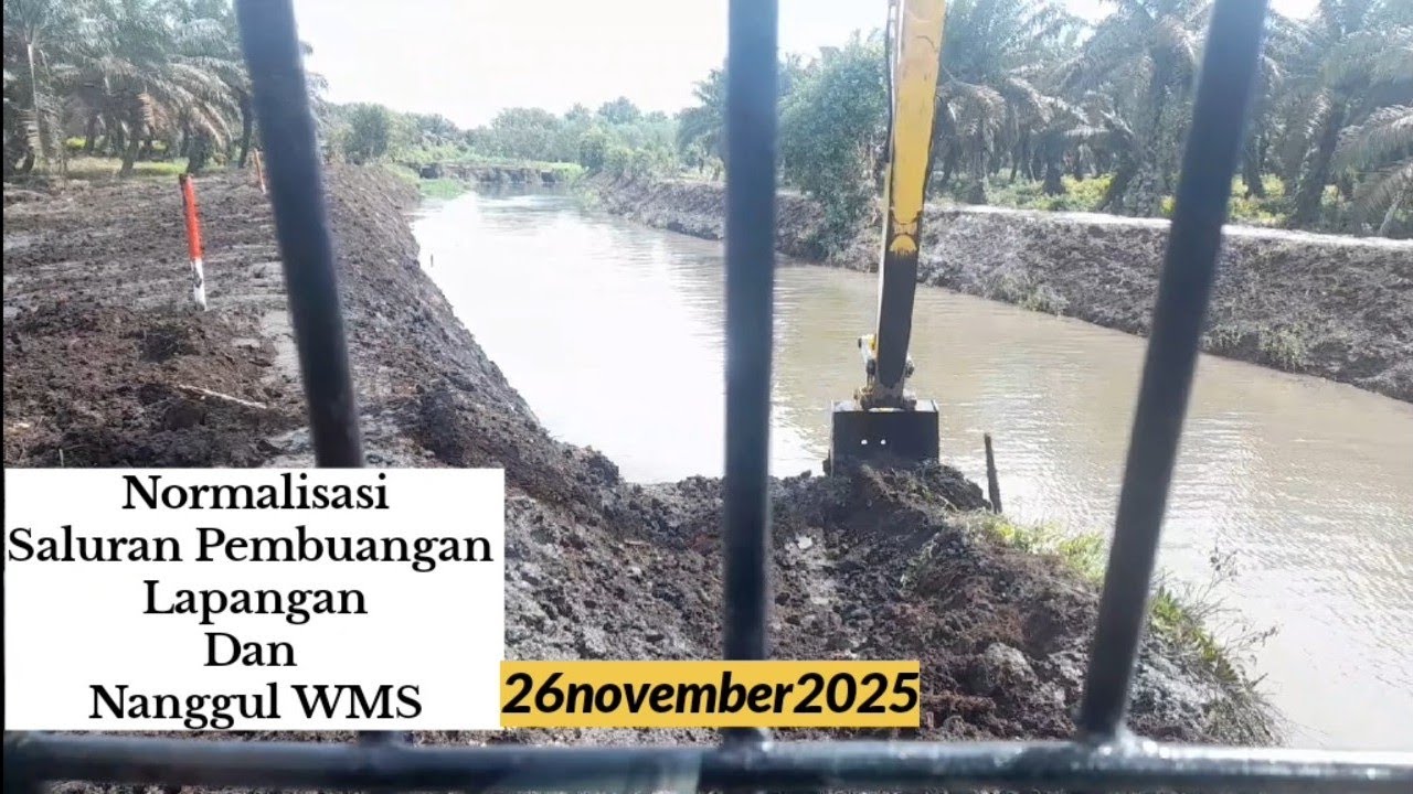 Nanggul WMS jalur Field Draine 26-11-2025@yusro_kalteng 