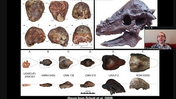 Old News Ep. 17: Mystery of the Boneheaded Reptiles