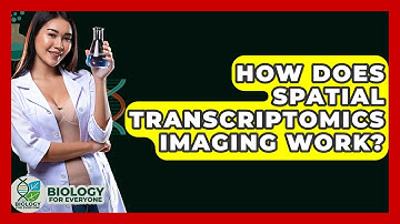 How Does Spatial Transcriptomics Imaging Work? - Biology For Everyone