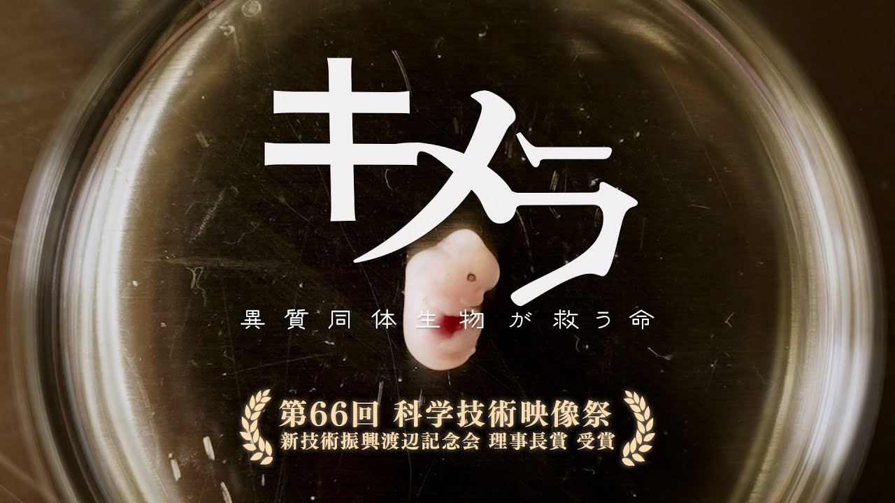 キメラ 異質同体生物が救う命【第66回科学技術映像祭受賞作品】｜ガリレオX第330回