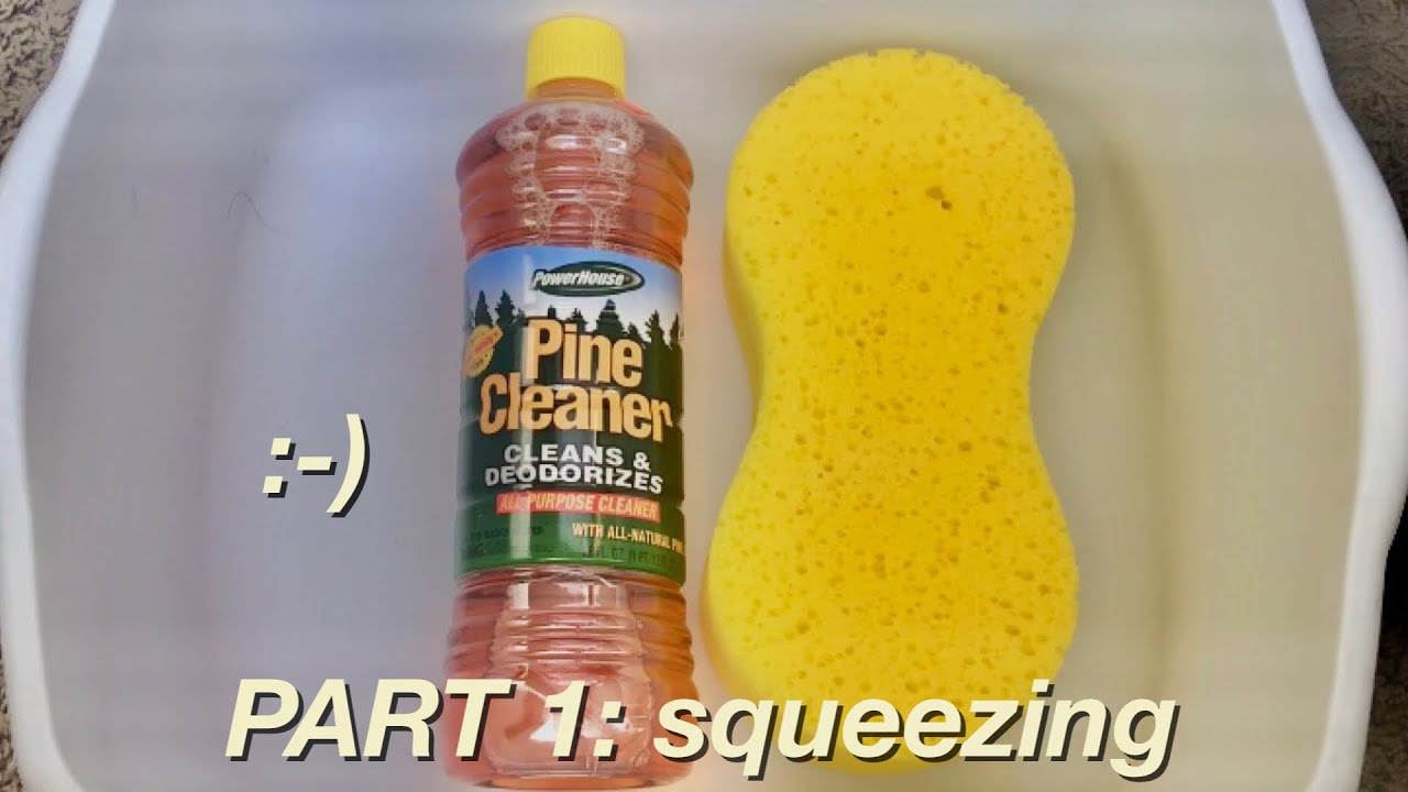 Powerhouse Pine | Sponge ASMR