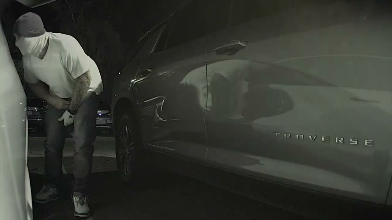 Car Break-In Caught On Camera: Thief Steals Suitcase From Tesla Model 3
