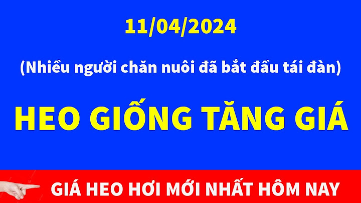 Giá thịt lợn hôm nay tại thanh hóa năm 2024