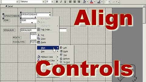 Aligning and Sizing Controls on Access Forms ~ DataPig