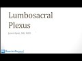 Musculoskeletal 1 Anatomy and Orthopedics 6 Lumbosacral Plexus
