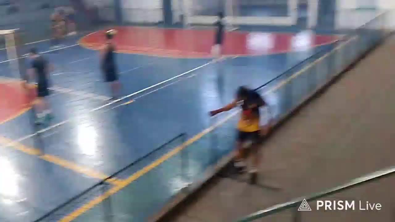 Transmissão ao vivo de zué lives