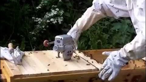 When Bees Go Bad: splitting and moving a colony in a top bar hive