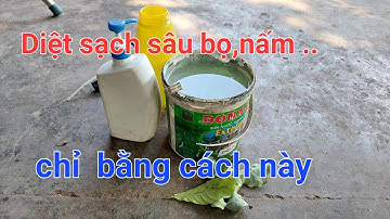 Diệt sạch sâu, bọ trĩ,rệp sáp,nấm các loại bằng thuốc tự chế vô cùng an toàn