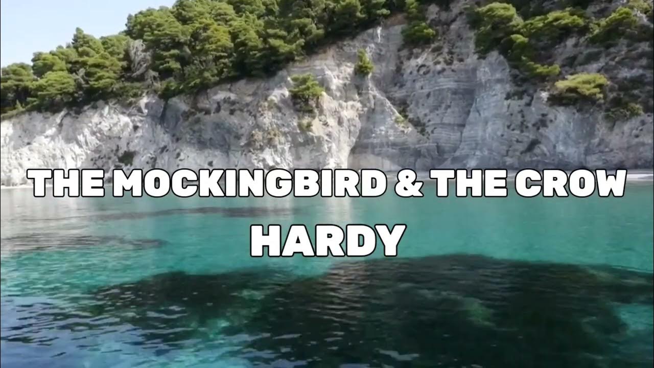 HARDY the mockingbird & THE CROW (New Songs) YouTube