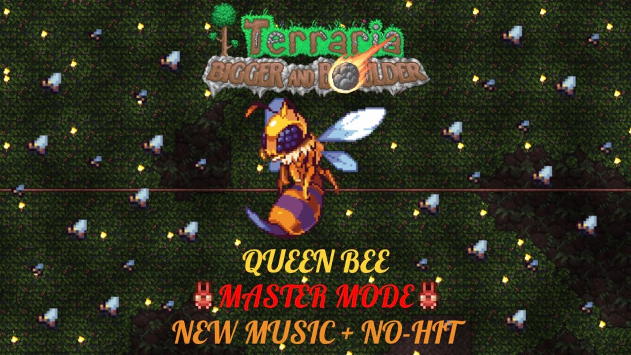 Master Mode Queen Bee (New Music + No Hit)