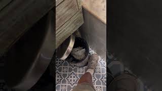 IMG 1749