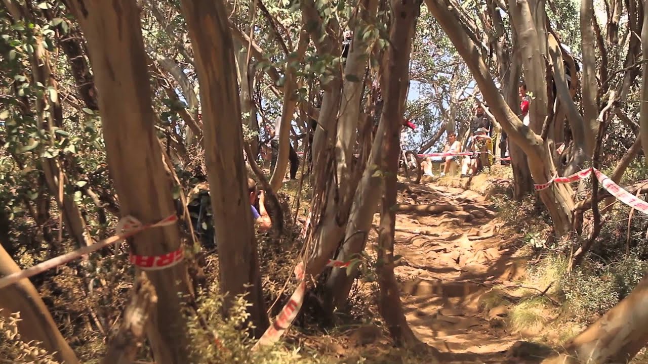 Avid Zerode Team #5 VicDH Rnd4 Mt. Buller