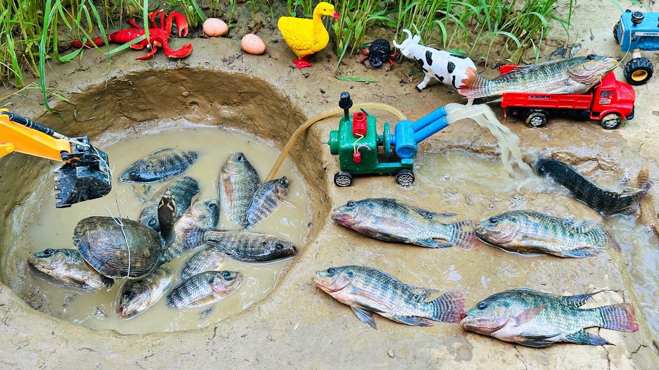 catch fish usingmini powerful diesel engine water pump for fish in pond🐟| fishing exciting