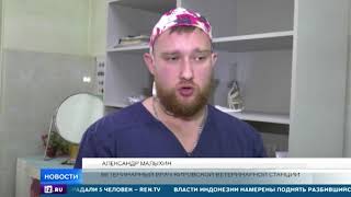 Незрячий житель Свердловской области борется за жизнь своей собаки-поводыря Незрячий житель Свердловской области борется за жизнь своей собаки-поводыря