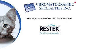 The Importance of GC FID Maintenance