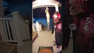 Wait for it! Deer vs. Animatronic Halloween Decor 🎃🤯 #Shorts