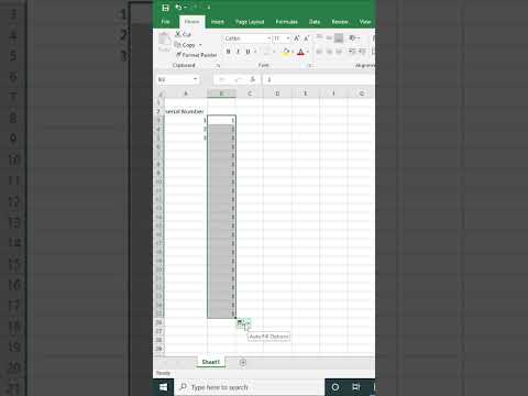 Auto Increment In Excel
