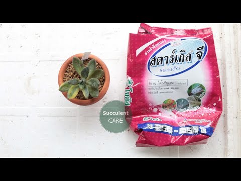 รีวิว สตาร์เกิ้ลจี สารกันเพลีย แมลงในดิน