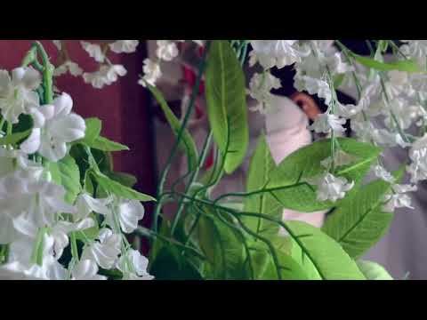 يرحم كف بانيها اليوم الوطني ال49