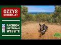 Ozzy's Wanderlust, Australian Caravan Travel