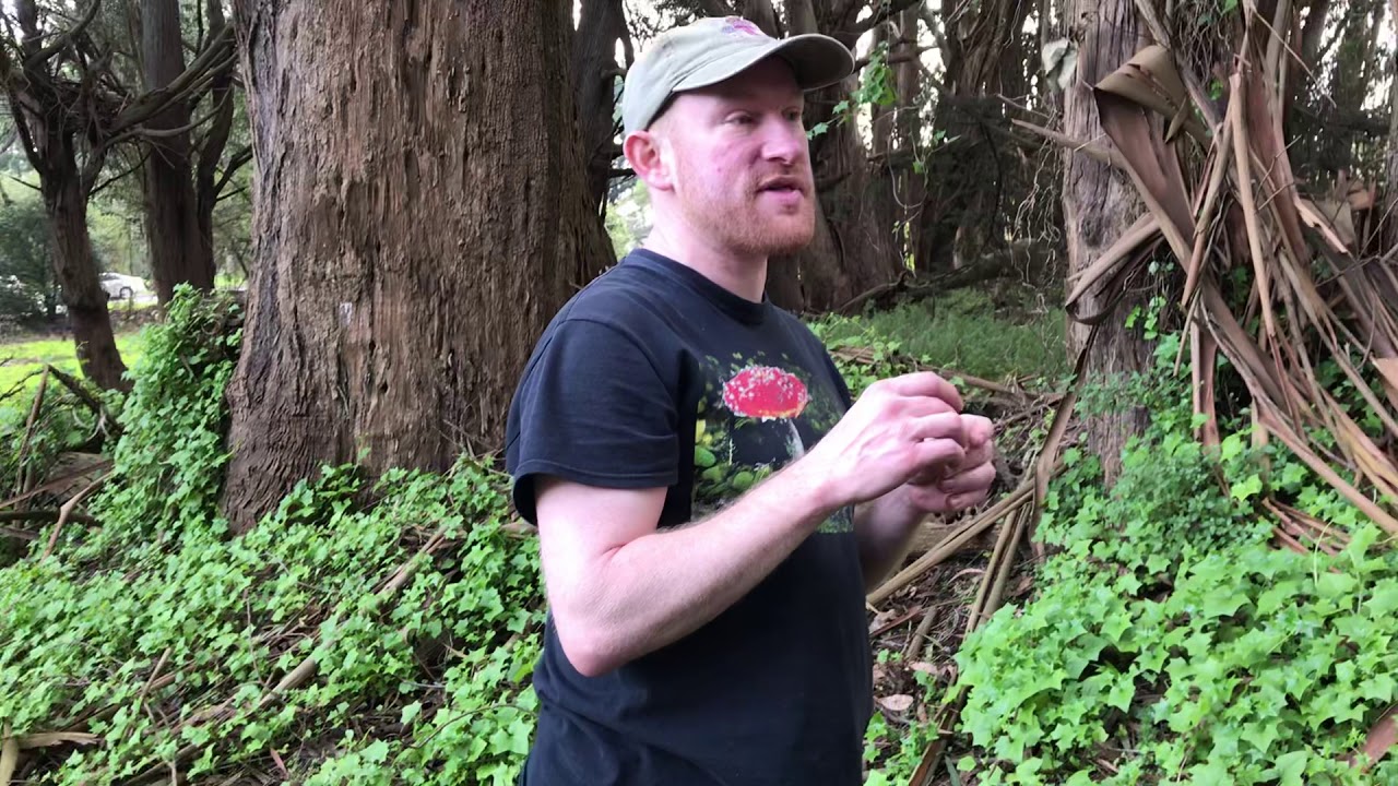 Alan Rockefeller 1/28/19 Foray