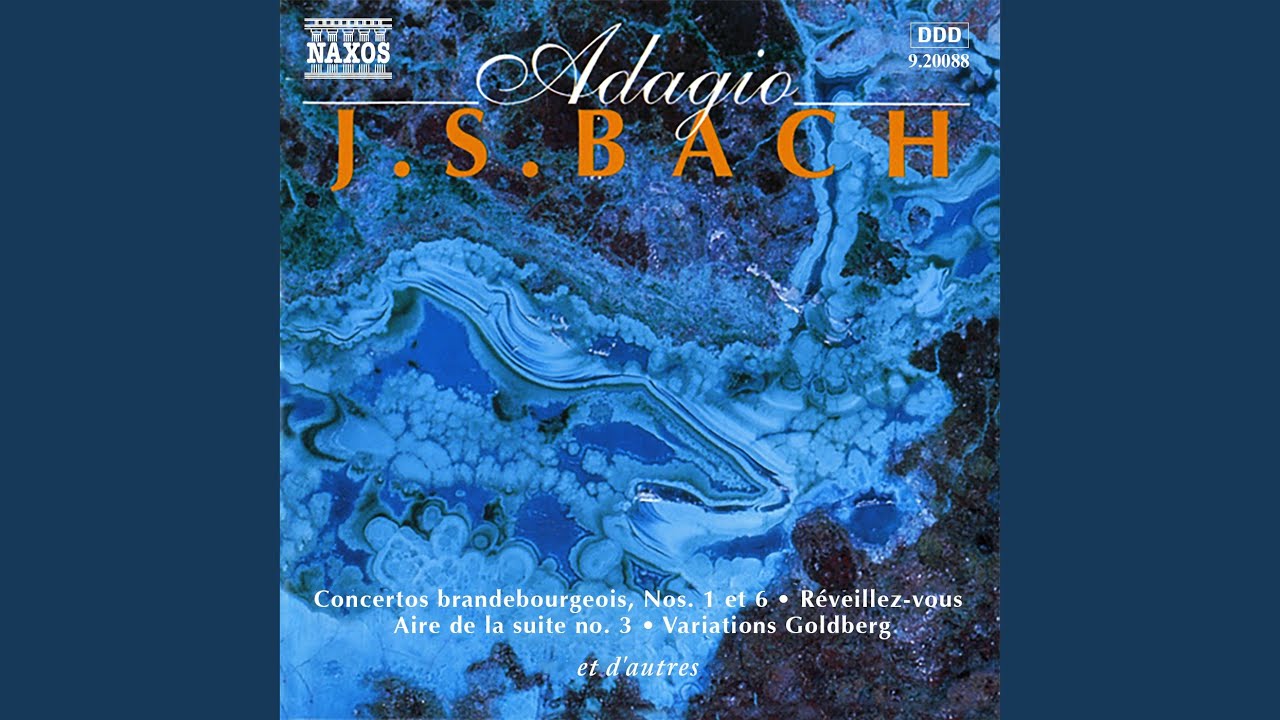 Sleduj Concerto for 2 Violins in D Minor, BWV 1043: II. Largo ma non tanto na YouTube Sleduj Concerto for 2 Violins in D Minor, BWV 1043: II. Largo ma non tanto na YouTube