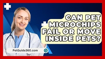 Can Pet Microchips Fail Or Move Inside Pets? - PetGuide360.com
