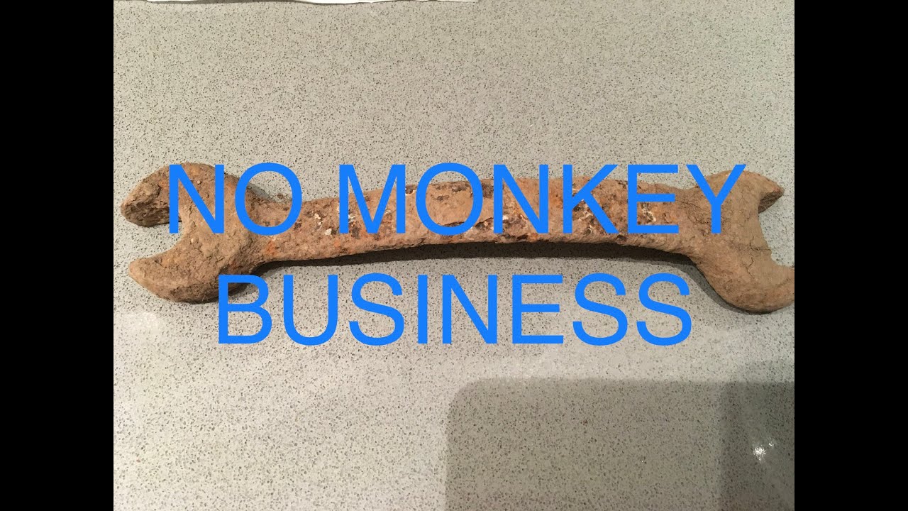 No Monkey Business (in the 6ix) (Metal Detecting, Toronto, ON, Canada)