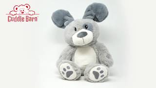 Cuddle Barn - Peek & Play Parker