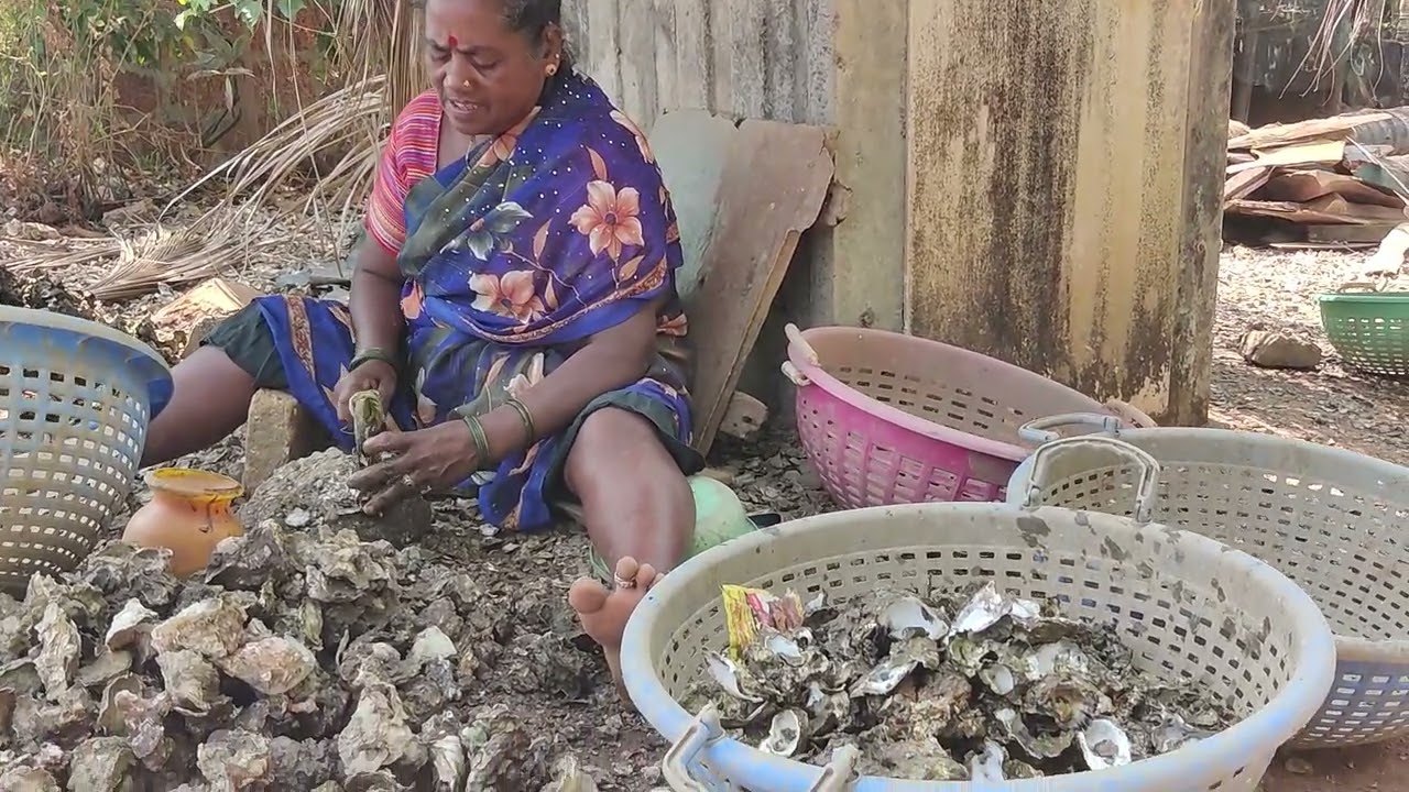 Voices of the estuary | Life at the edges of Aghanashini