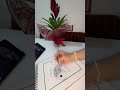 #lineart #artistsonyoutube #drawing #artist #sketch #artshorts #doodle #youtubeshorts