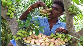 Athipalam payasam | Fig fruit payasam | cooking and Eating in my village | village style cooking |