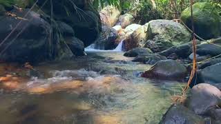 The sound of a bubbling spring that puts you to sleep in 10 minutes, relaxation, river sounds, ASMR