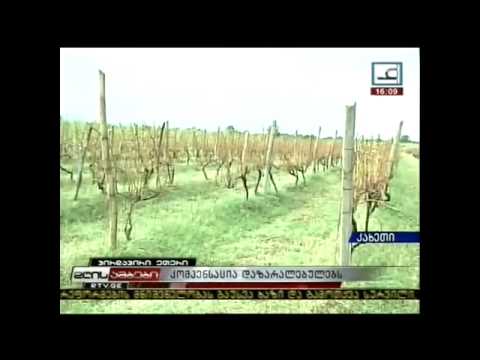 კომპენსაცია დაზარალებულებს.mp4