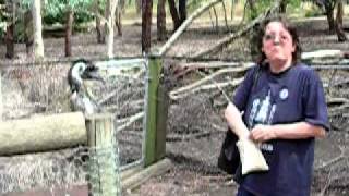 DSCN0146.MOV