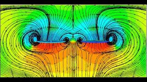 Unsteady flow around a flapping wing model