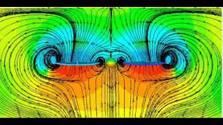 Unsteady flow around a flapping wing model